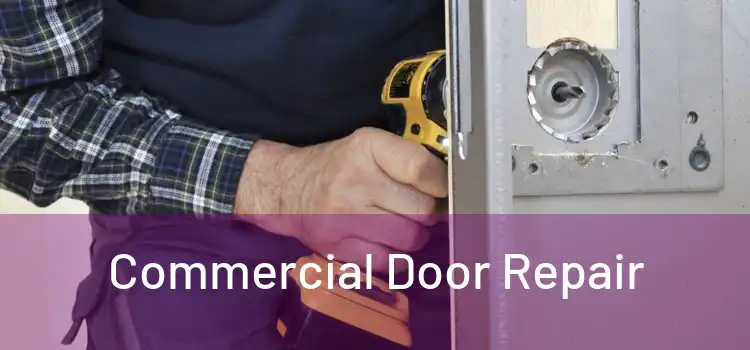 Commercial Door Repair