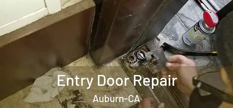  Entry Door Repair Auburn-CA