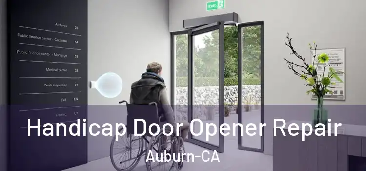 Handicap Door Opener Repair Auburn-CA